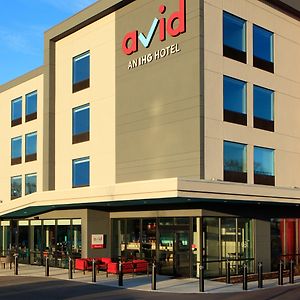 Avid Hotels - Boston Logan Airport - Revere By Ihg